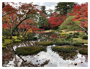 日本庭園研修ツアー in 京都