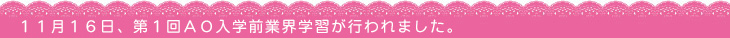 ＡＯ入学前業界学習